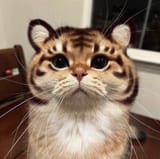FmwPqmJakAEAzyD