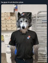 1000008246