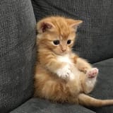 1704603771781268