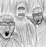 schizomeds