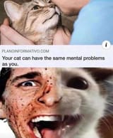 1750849838007080
