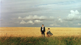 the reflecting skin (1990)