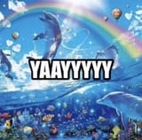 yaay dolphin.jfif