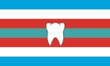 odontophilia pride flag