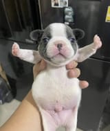 GRmfSceWQAAGjEo