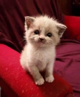 FB_IMG_1654824539913