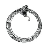 Ouroboros_Symbol-1