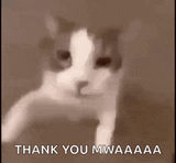 kiss-kitty