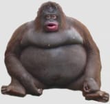 big stimky