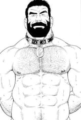2550ec1f0fd4d2553b947e66cd4282d2--sexy-drawings-bear-art