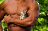 HotGuysKittens4.jpg.optimal