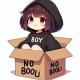 boymoder_NO_BOOLI_cardboard_box