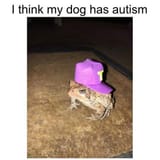 1526343145053