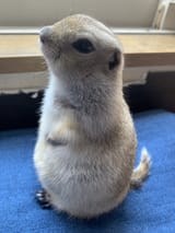 GUbhFRvbIAAYm9y