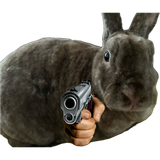 GHtmxXwWoAAoR2n