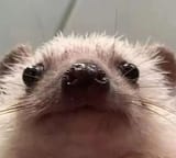 F3oAmiEb0AAuM4j