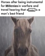 lesbian husbandy