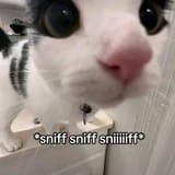 20240330_134138