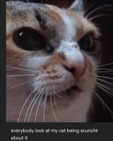 GYlHzOrWIAA_aZP