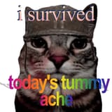 20240303_193131