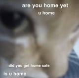GZY4EJAXAAAtXQs