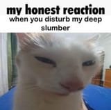 1e0da2bec901727ab8917595bf07c0ba
