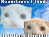 20240319_221426