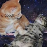 GTQ7VzXXwAAHcni