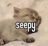 seepy