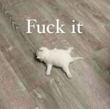 20240402_104025