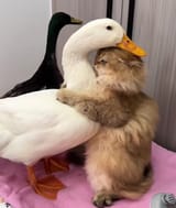 GU2C9mCXIAA4w6q