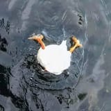 GKYyBqyWsAAXSaU