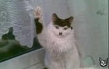 kitler8105