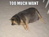 tmw