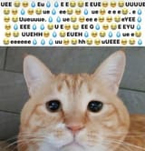 125gjdwk