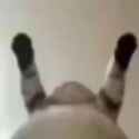 1652338569610_thumb.jpg