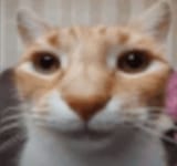 1237816562312
