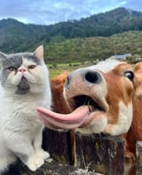 GffPJTNWwAAixrp