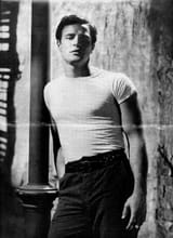 brando9gi61