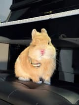 GUL8BJbWkAA_DdL