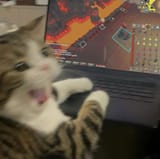 1751081535066809
