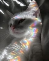 Gtzr6ahWkAE8AFB