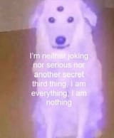 im_neither_joking_nor_serious_nor_another_secret_third_thing_i_am_everything_nothing_three_eyed_dog_white_purple_glowing_aura