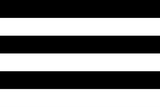 Heterosexual_flag_(black-white_stripes).svg