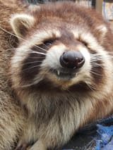 IMG_20230716_112412