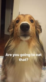 GXFLLjfXsAAHCd9