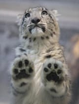 GOEw8GpWAAAcalP