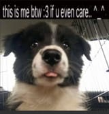 1000022992