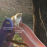GWRYxcXWgAAhFoc