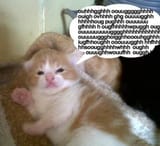 GY6k7VGWgAASNBx